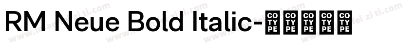RM Neue Bold Italic字体转换